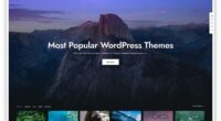 The Best WordPress Themes You Should Consider Using in 2022