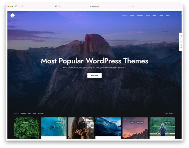 WordPress Themes 