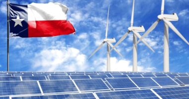 What Percentage of Texas Energy Is Green?