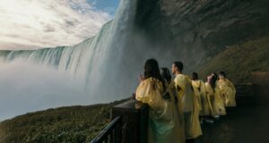 Can You See Niagara Falls Up Close? Discover the Best Viewing Spots