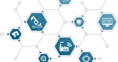 The Hidden Drivers of Plant Efficiency